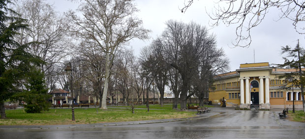 Отров или вирус узрок смрти паса? На обдукцији три леша угинулих љубимаца после шетње по Калемегдану